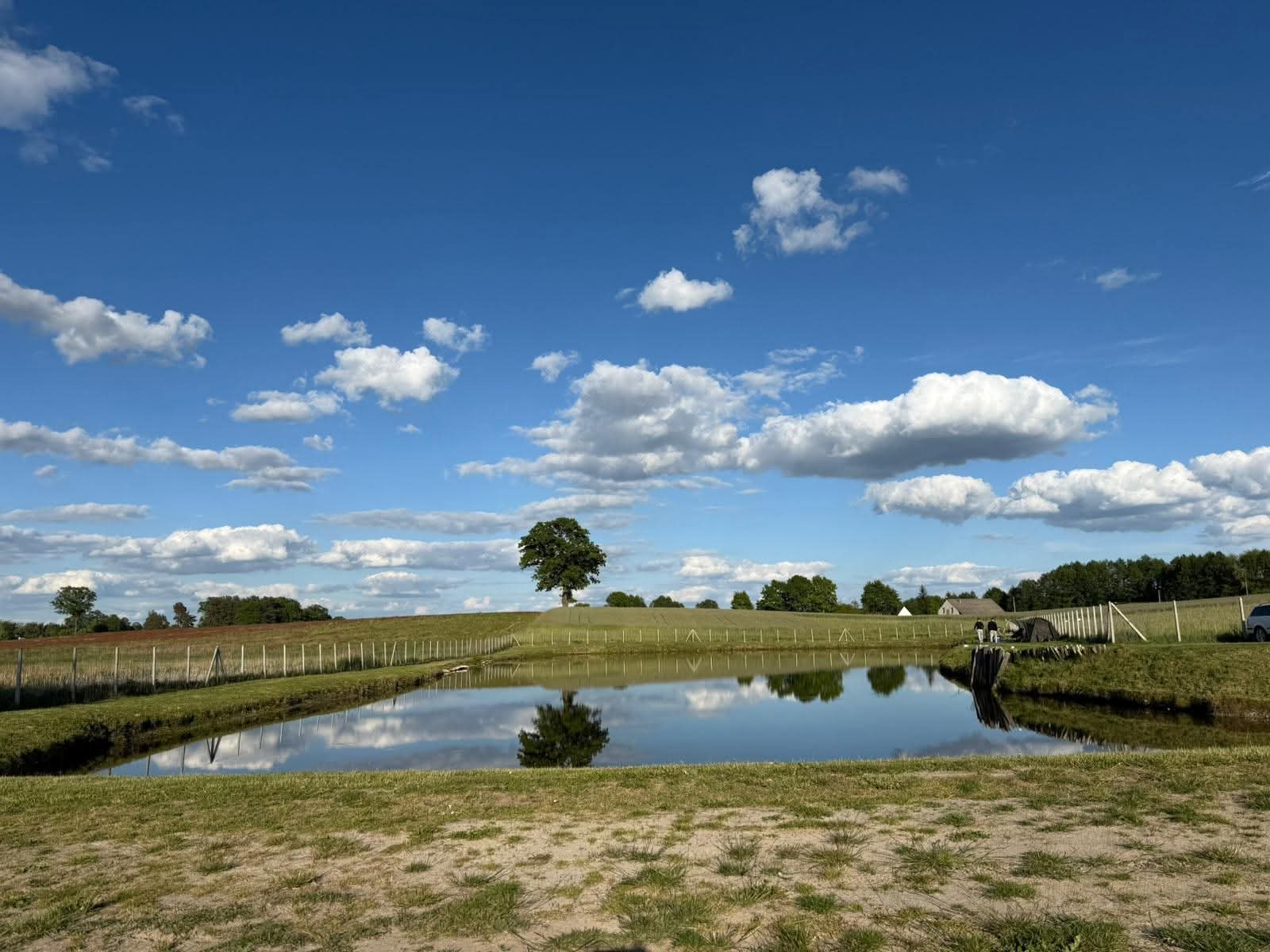 57f3783f-c128-4734-98d7-d0444081e56b.jpg