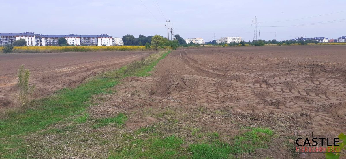 1644844331_18b617db87ac309b5f98693da05d2a93d7e6e8af