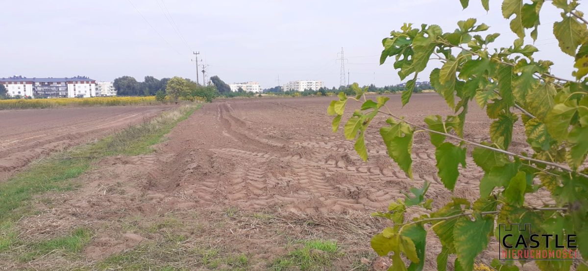 1644844331_fef4821fb6ac88a6e969aba9d57cbad813eebd8e