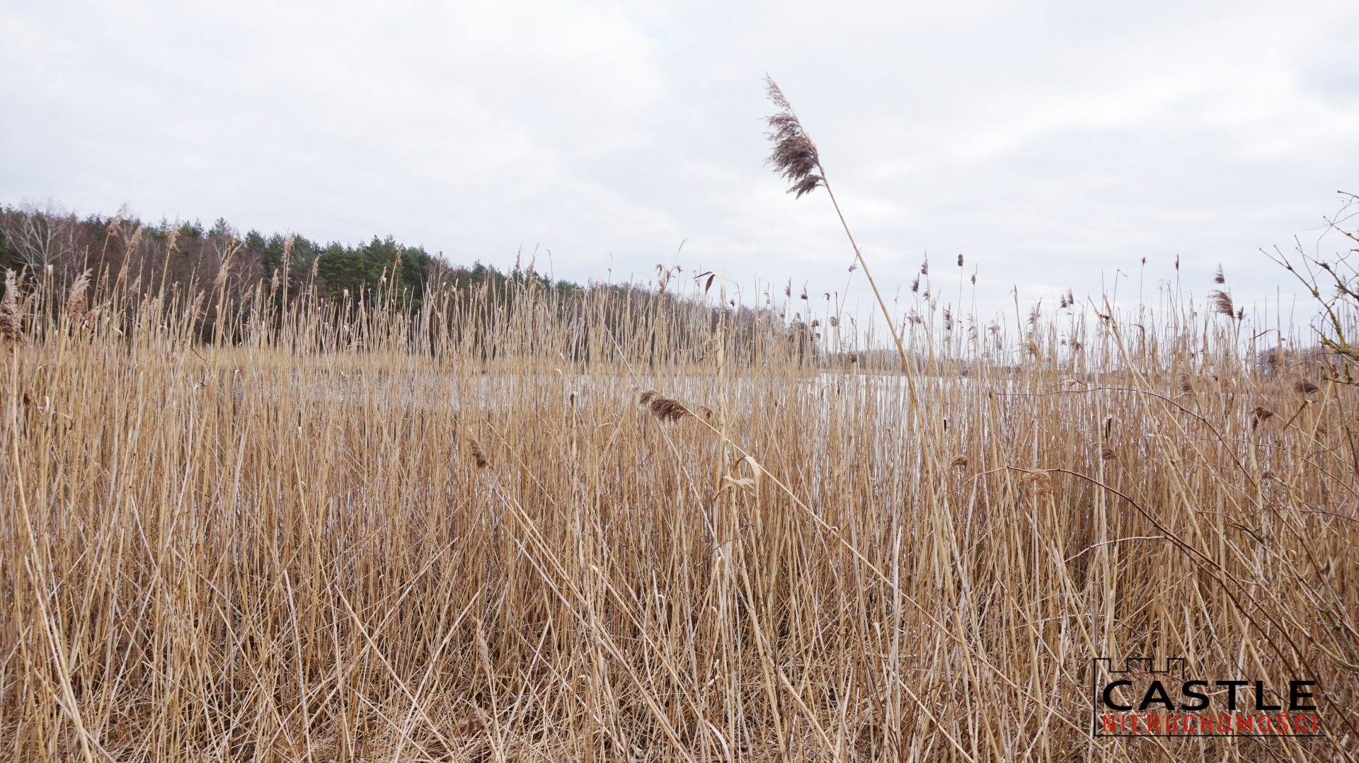 1646592699_05ef6953e6619bb7c36844a0b1de938e8d147c79