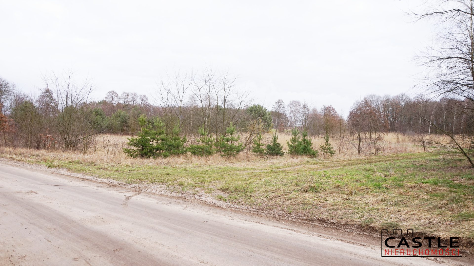 1646592699_2dad6fa7e94225e3840111882add59b61dcd94d0