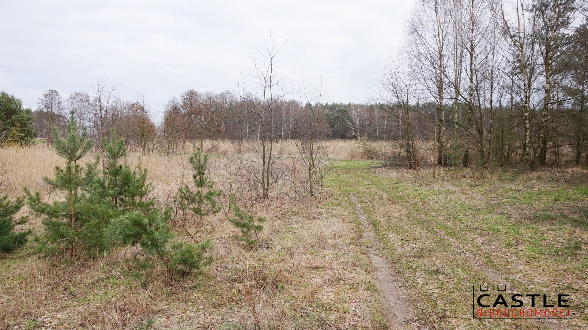 1646592699_47289f1ccc5e39e01573c0cd4c1f39b19a0943ae