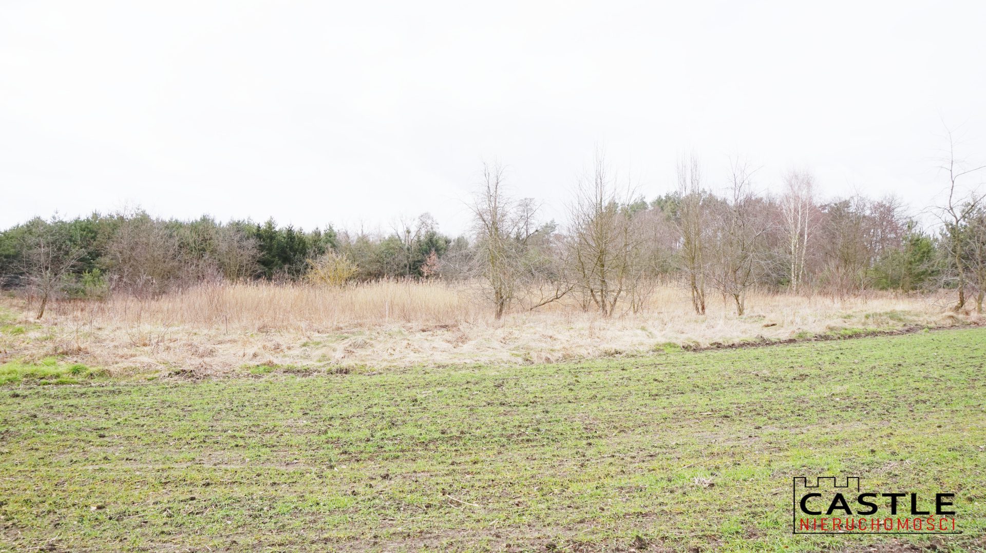 1646592699_6ff4efd0c7a22fa93f9bbd66bf2987438f8e36cc