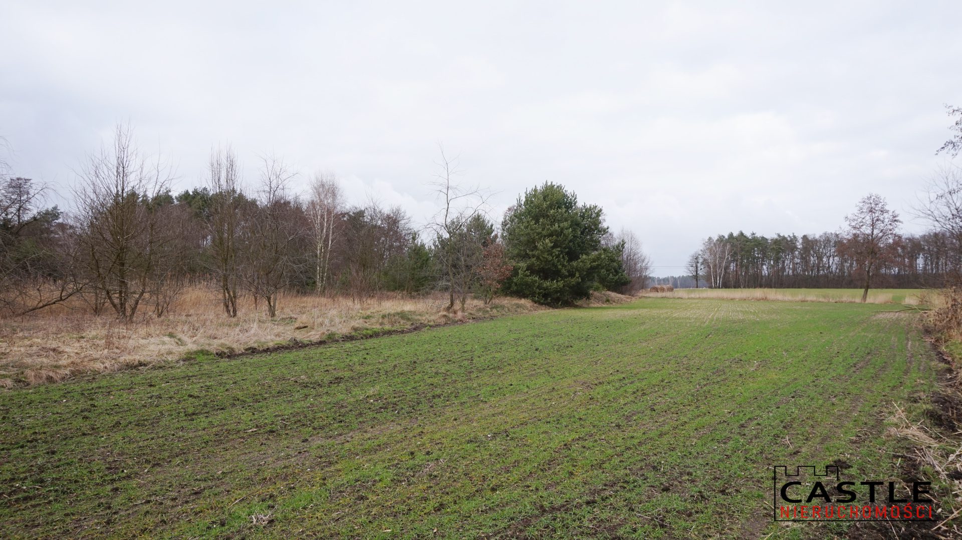 1646592699_7e7e8759017ad881066eadae4580ef7f77e47c8b