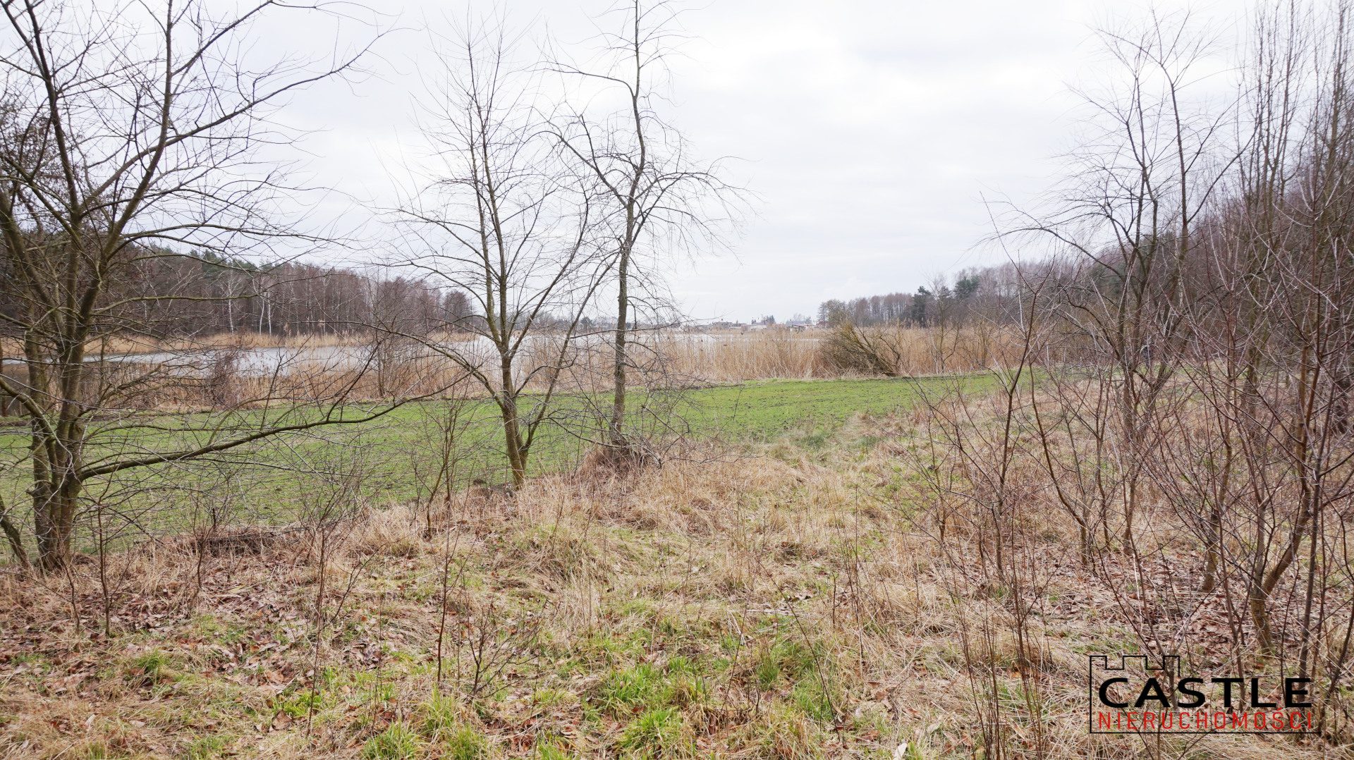 1646592699_aacd5201824dcd3781635c01a4788469d2f2b948