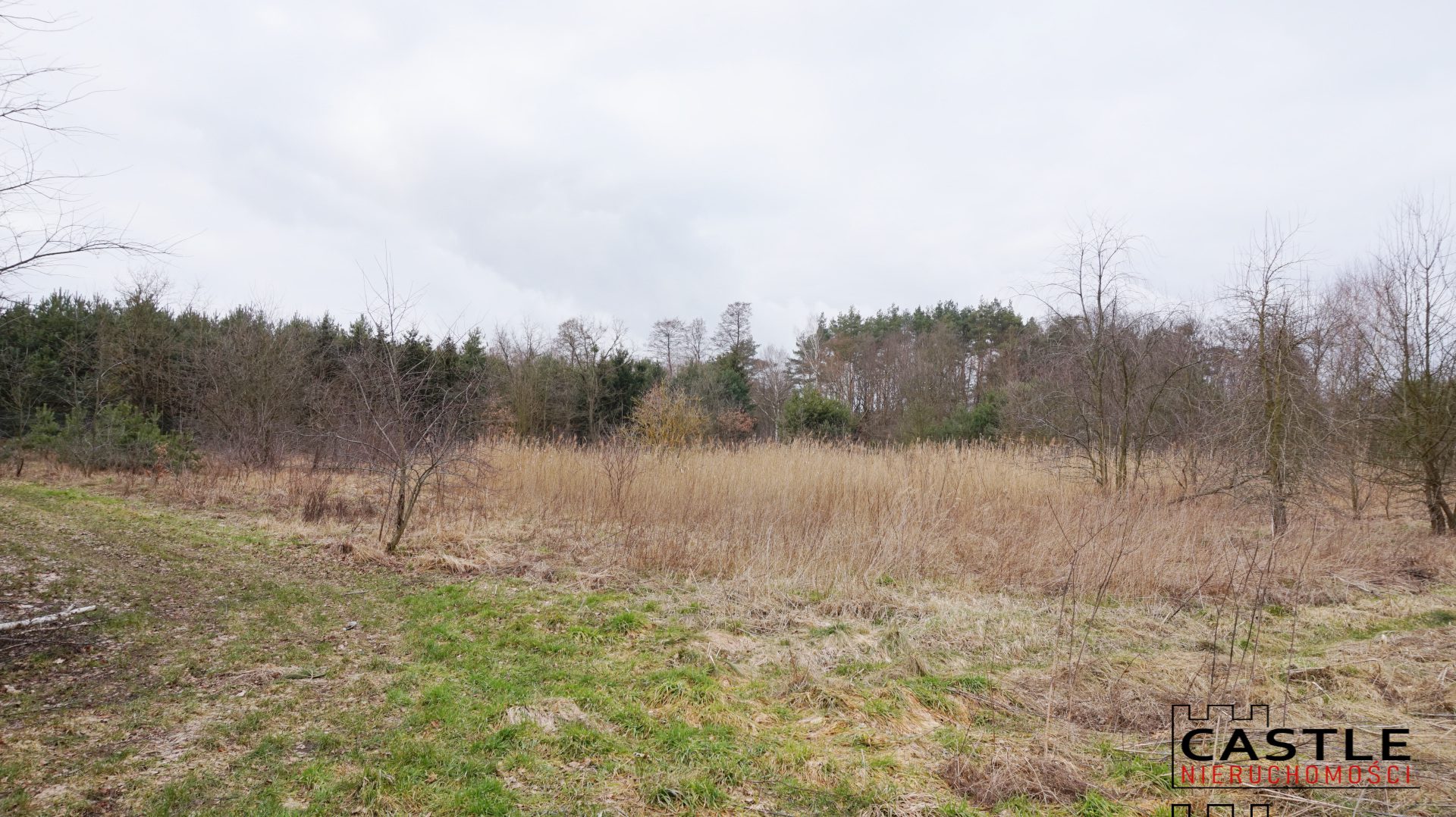 1646592699_cb645cadd20bff13a8d77a3cdacf5d81d978ad01