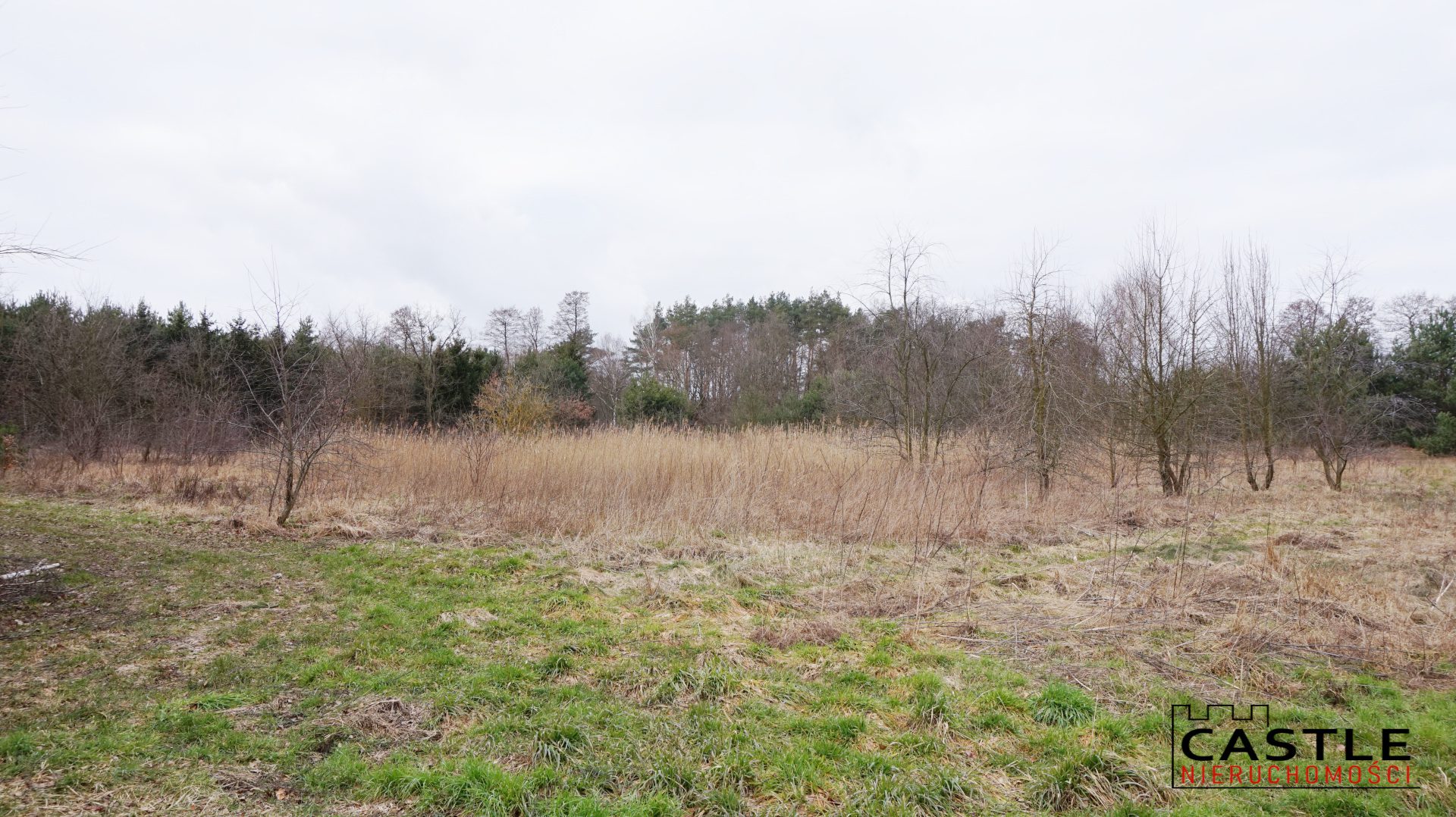 1646592699_cd19faf65720aacb55e36f4bba2b5a8757617e69