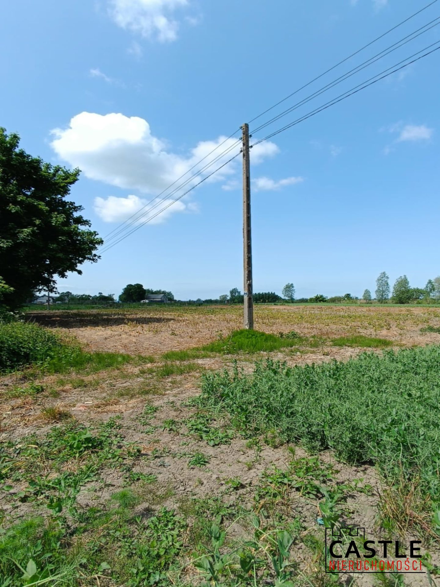 1687765508_4afec709f592f9513765f54ff1394e2e8be63452