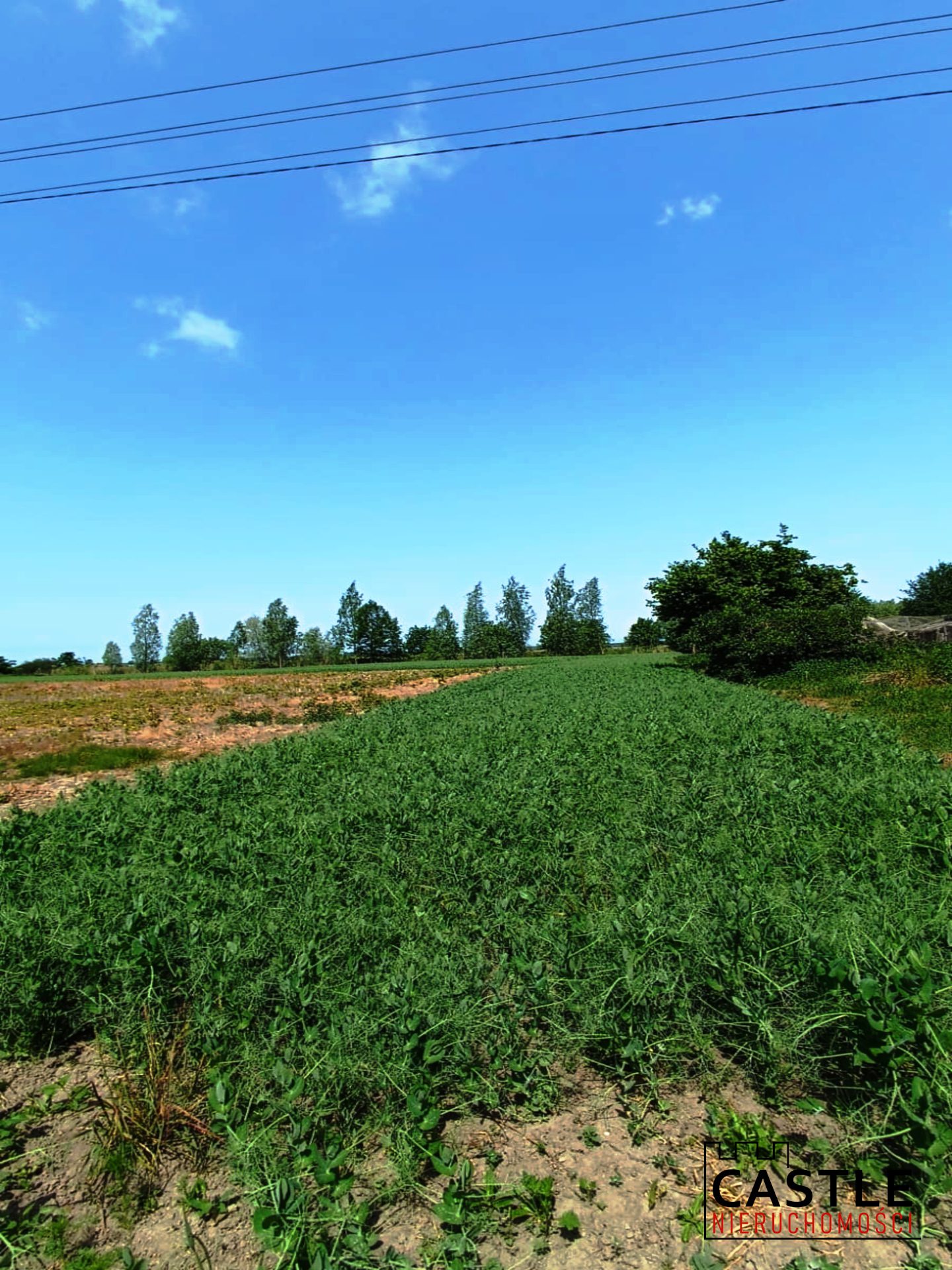 1687765508_aeb40634aa36bd313a1fce560645cda656857f24