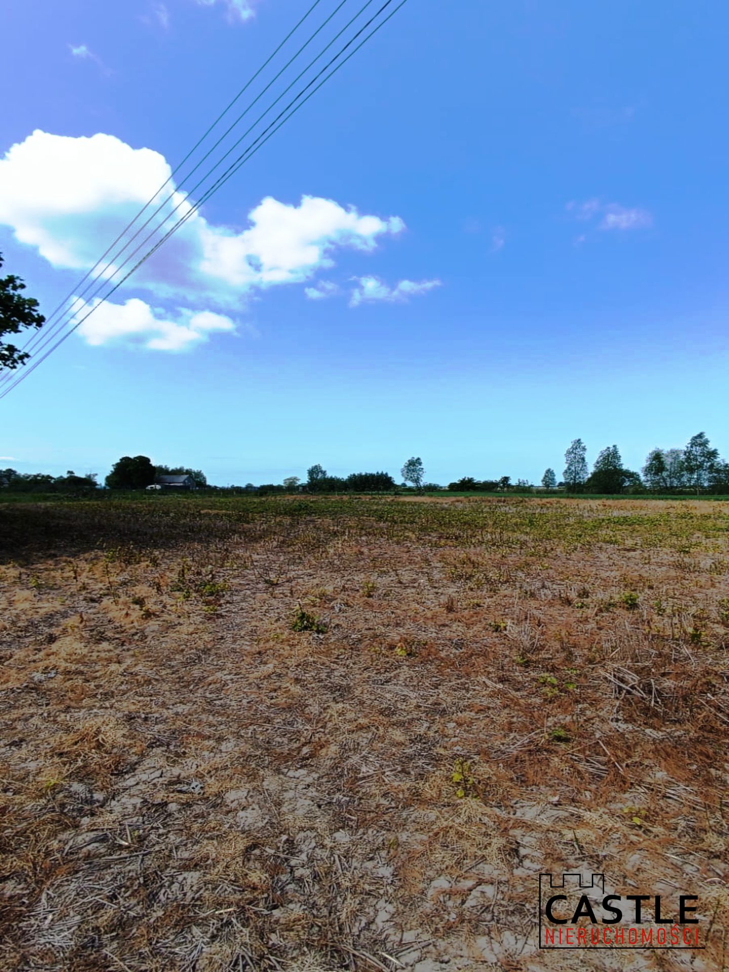 1687765508_bc90f47337462b4598bde3b4d3655ec7197c2bac