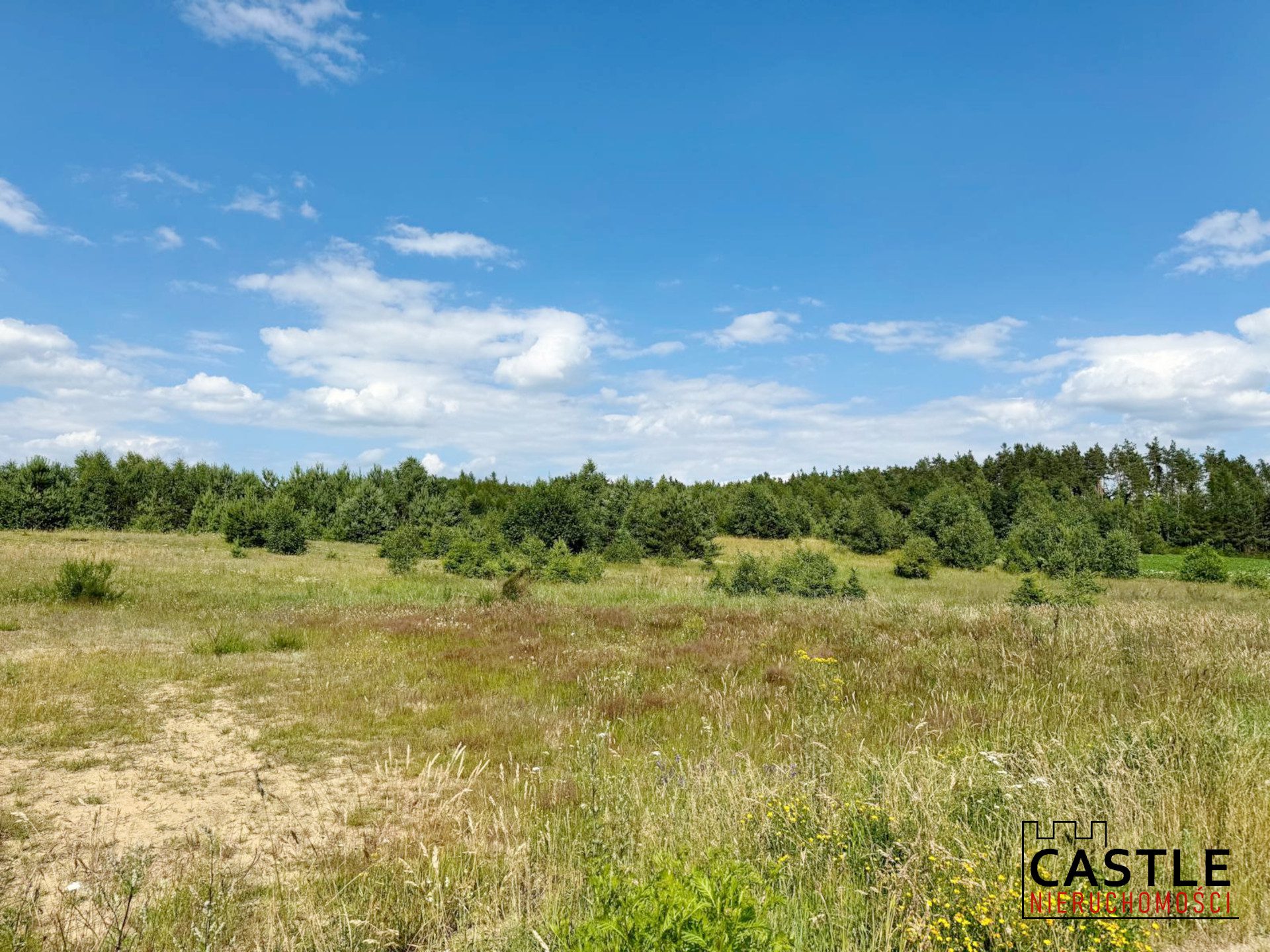 1719483663_2f469dab5132980f0dab7ca4aad361b179fd02db