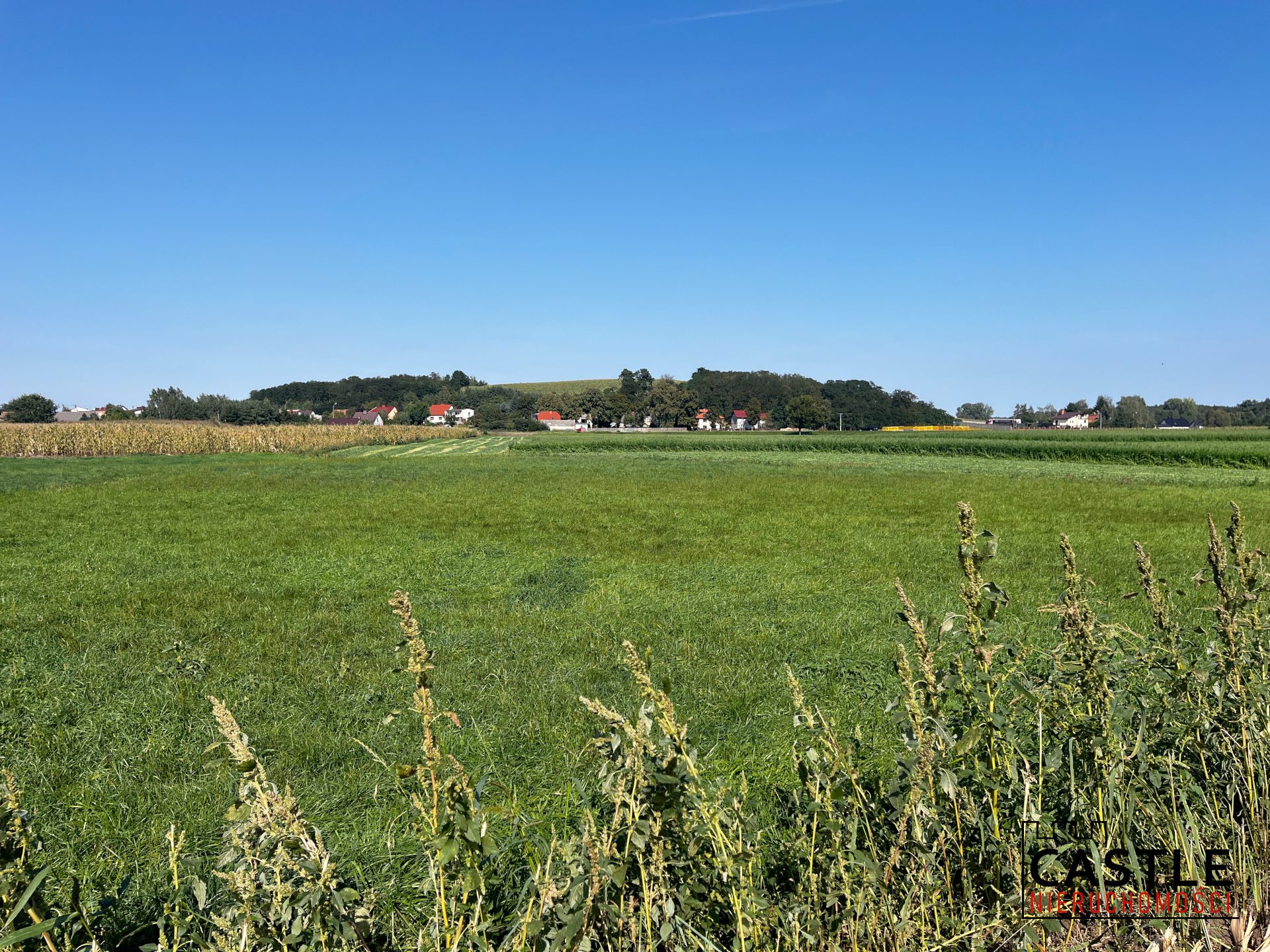 1725277552_3c59c66c86a7513cf9469dc900a254860581265e