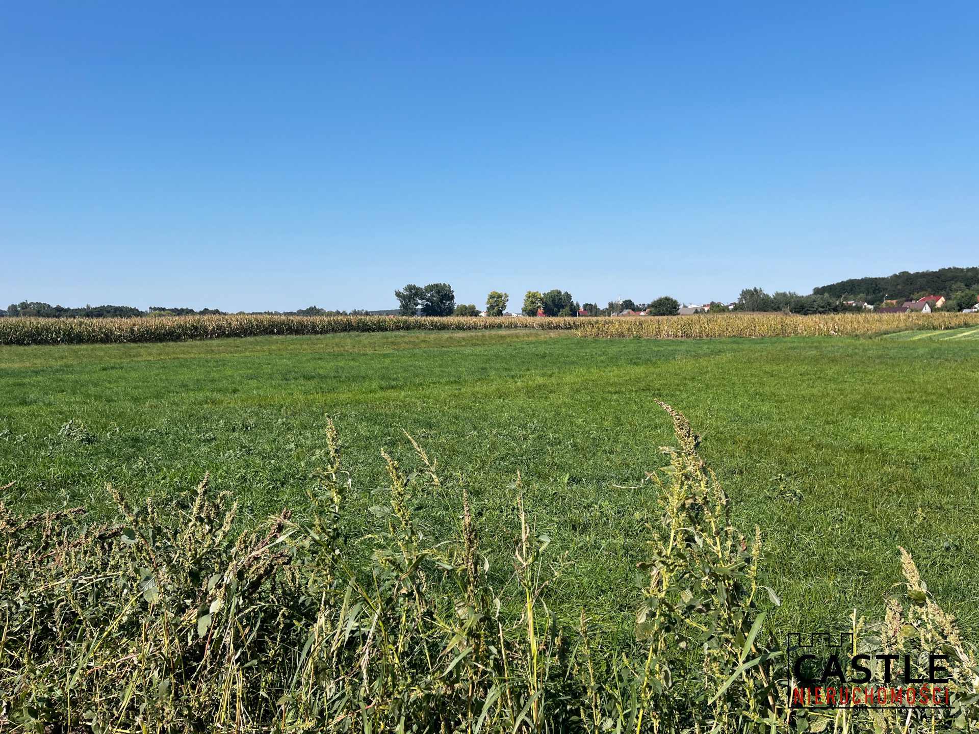 1725277552_db520ef3f1005cb83959088093c25c1095babfc0