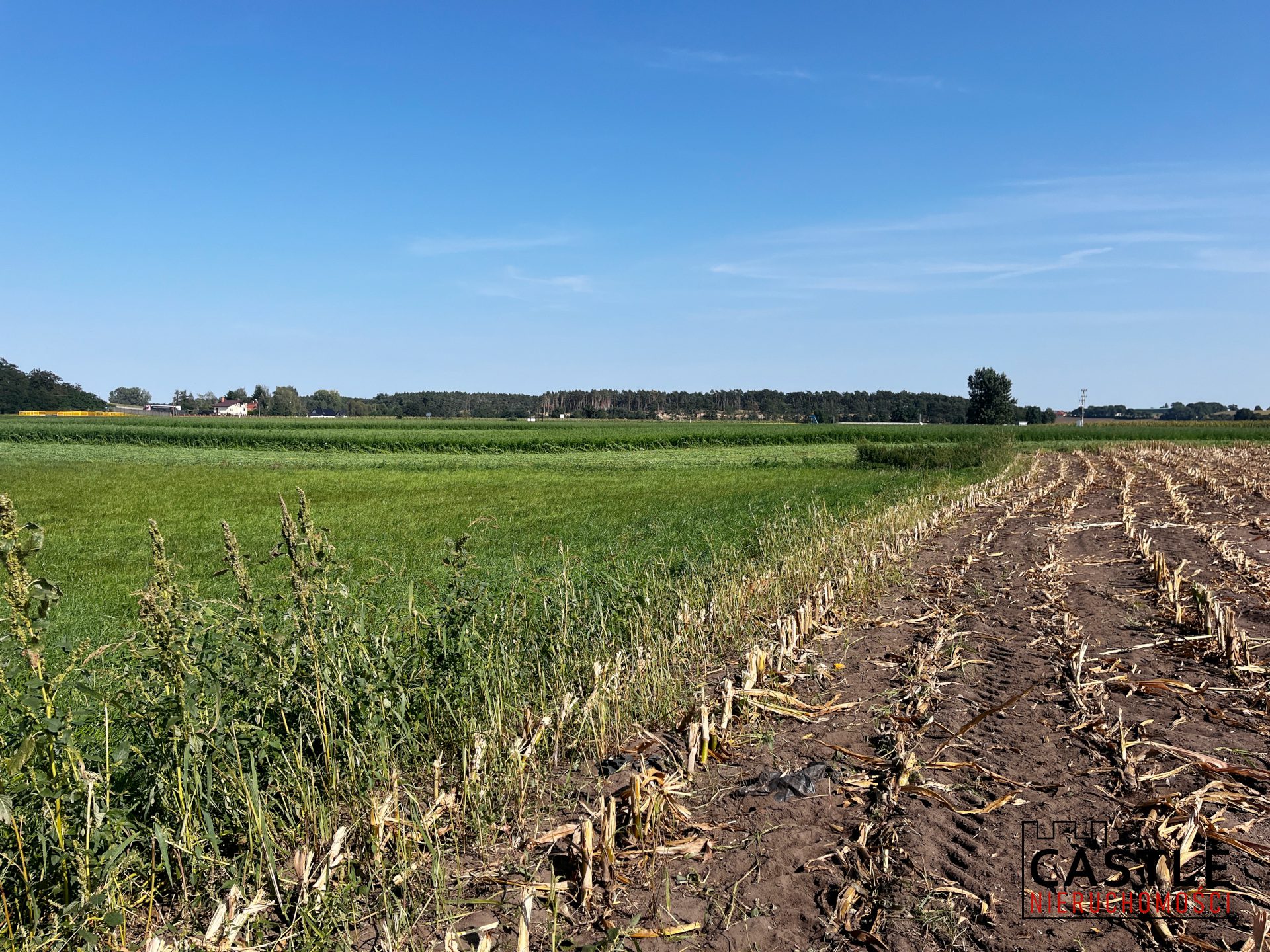 1725277552_dbe2a85399e64869987ca55e078301ce1caee1d8