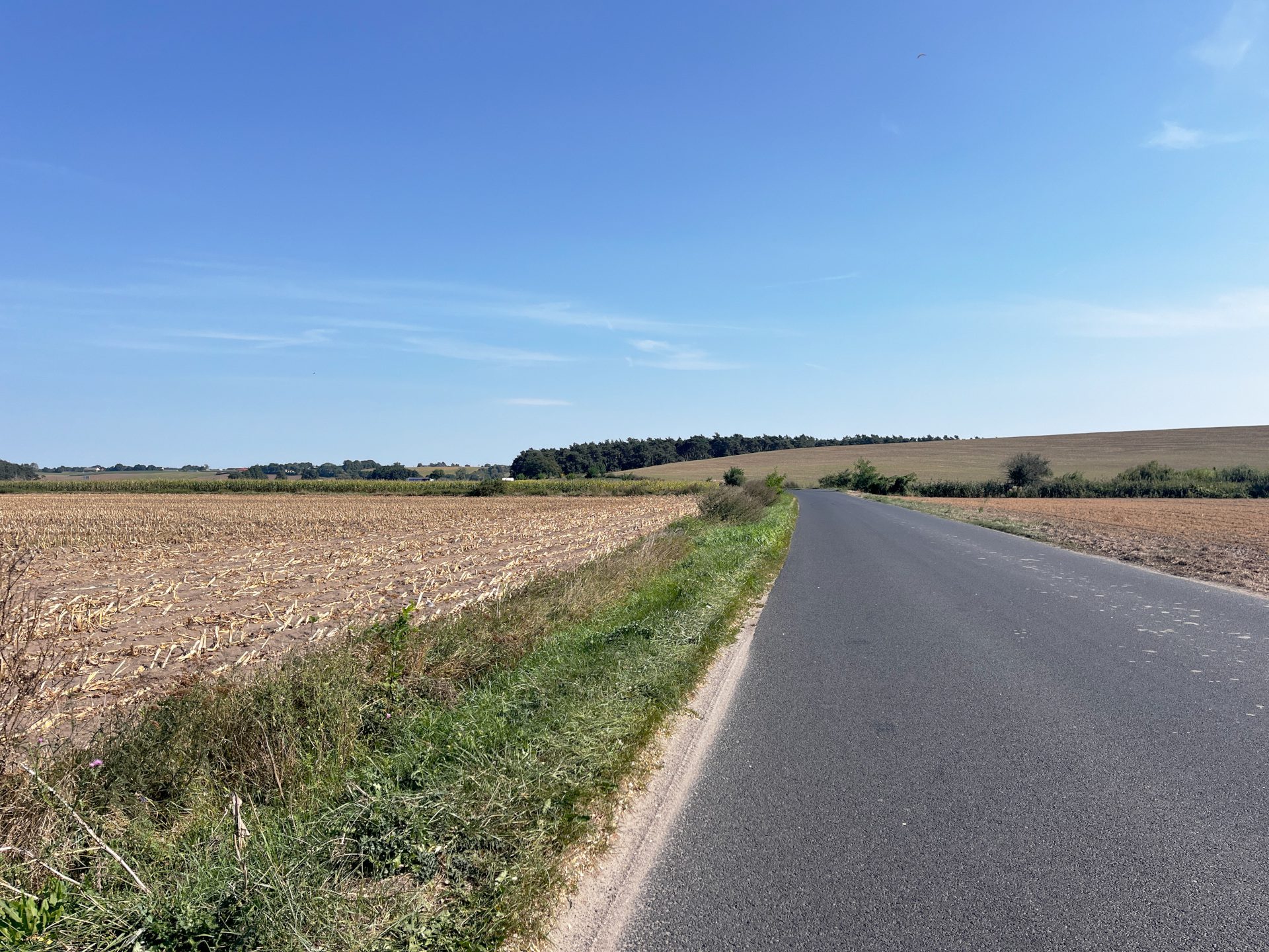 1725277552_fd4ef52a0f884375b3d4d59d1606cacff4422697