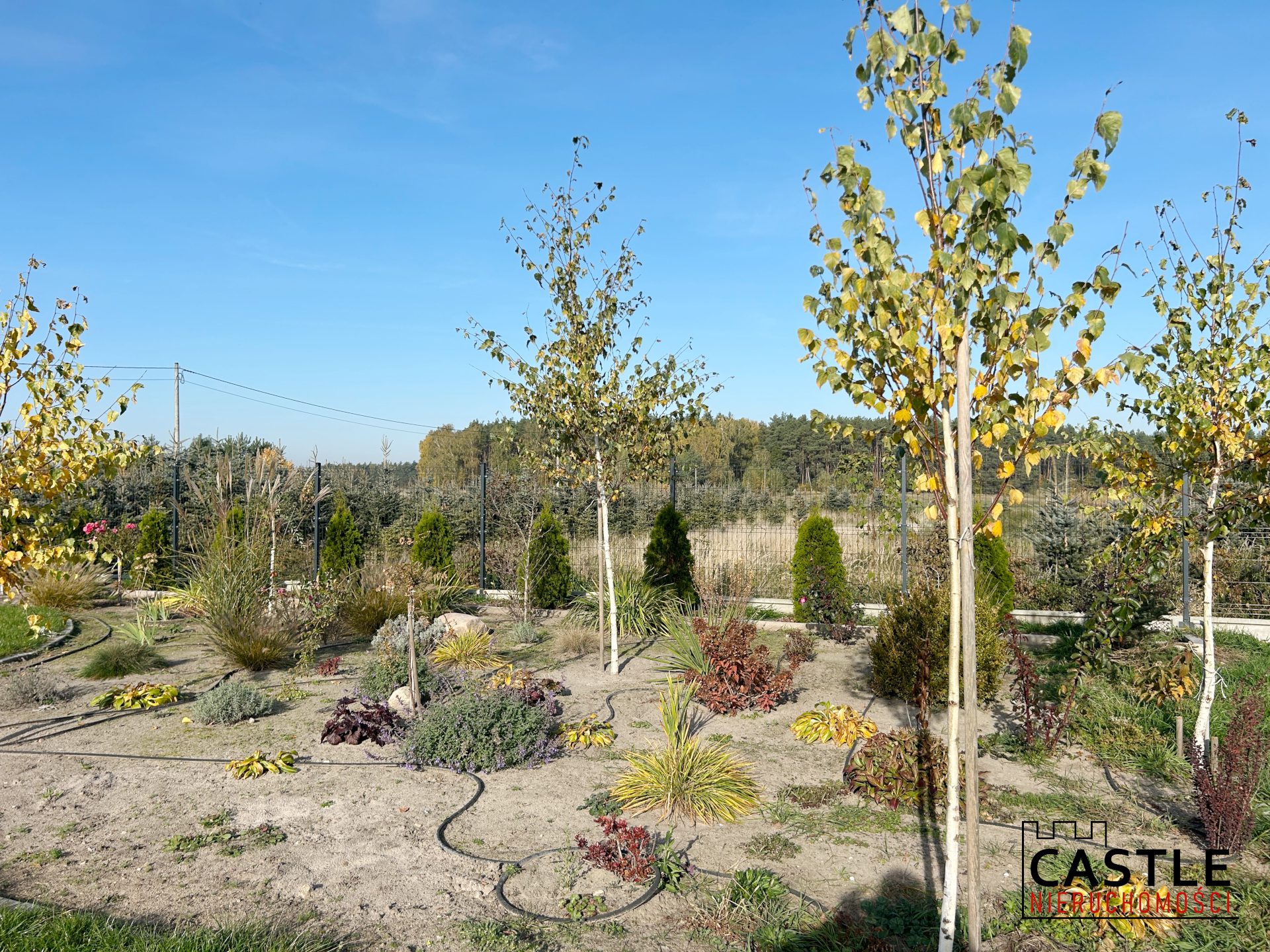 1743599909_19ba43a85d46513052a1a20c3bf934828e01affe