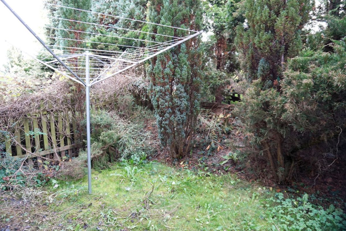 1749553102_b7522e2d17279083dc1239cbe378b2e6819808a9