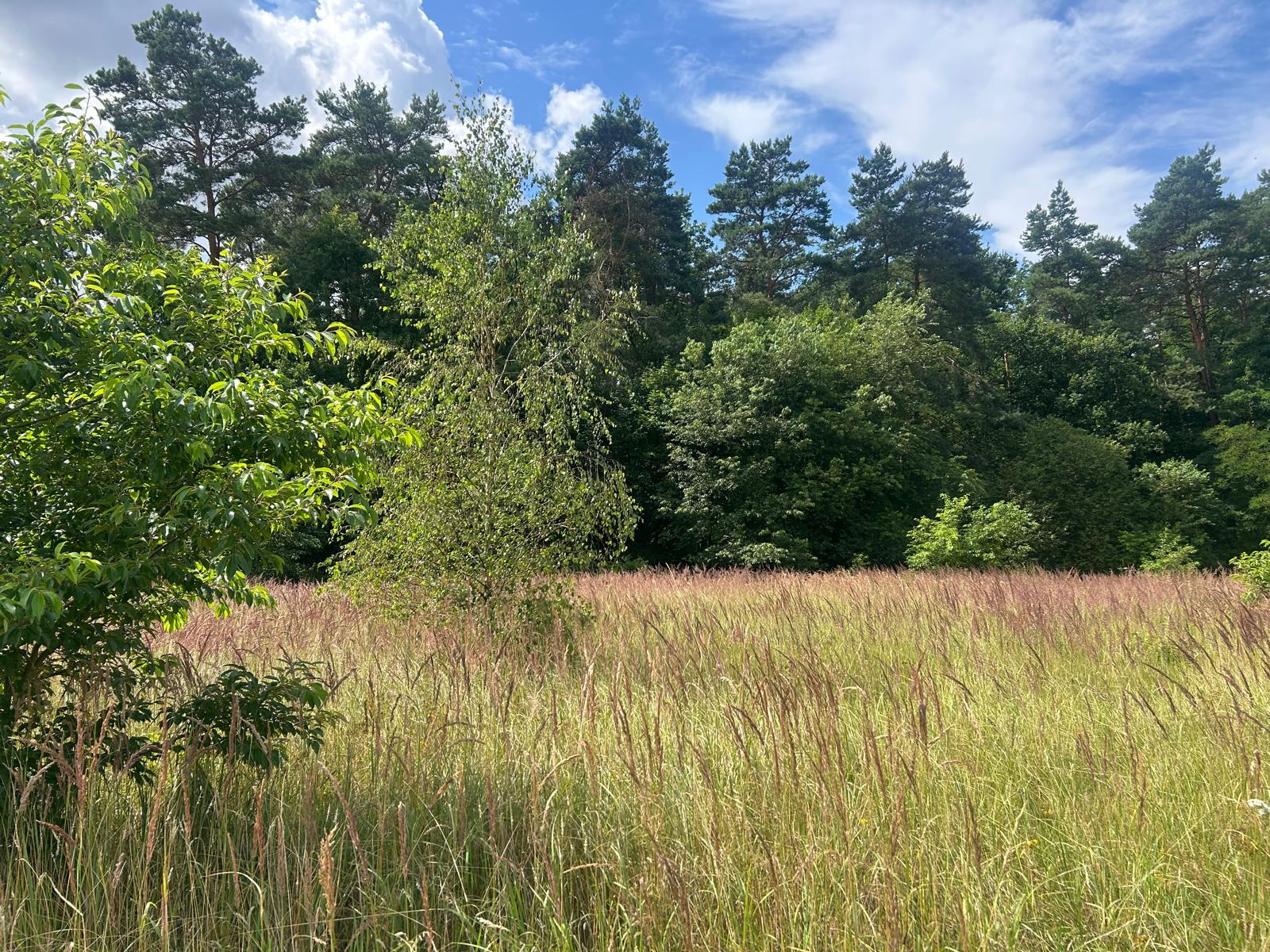 1753516942_08fda0244b5397e030ee401fd2bea5b24f78a72b