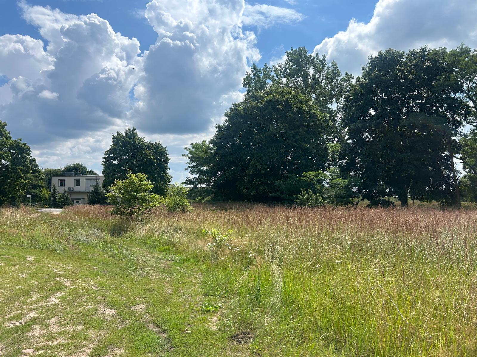 1753516942_6896a8696b8038f4fc8989ab005e4fccc3b90047