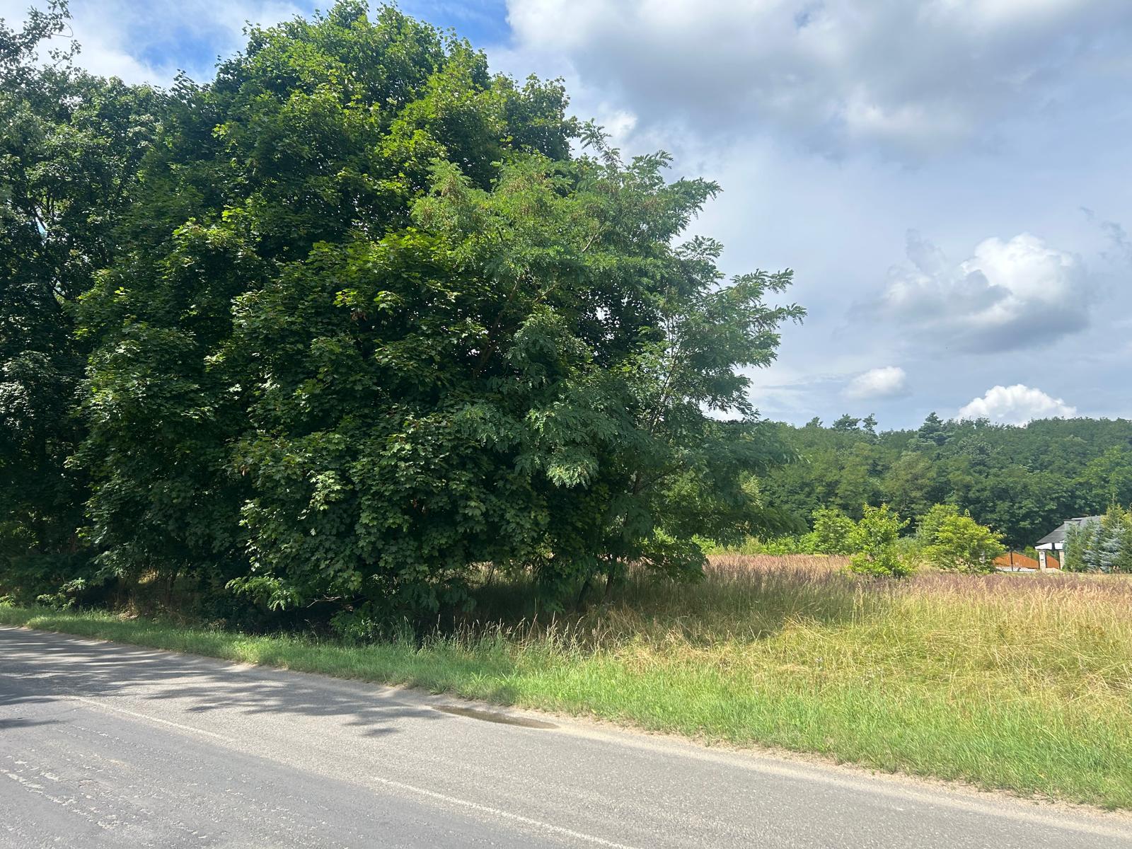 1753516942_b30ff17d14b759c017197570526ff51b33cc83c5