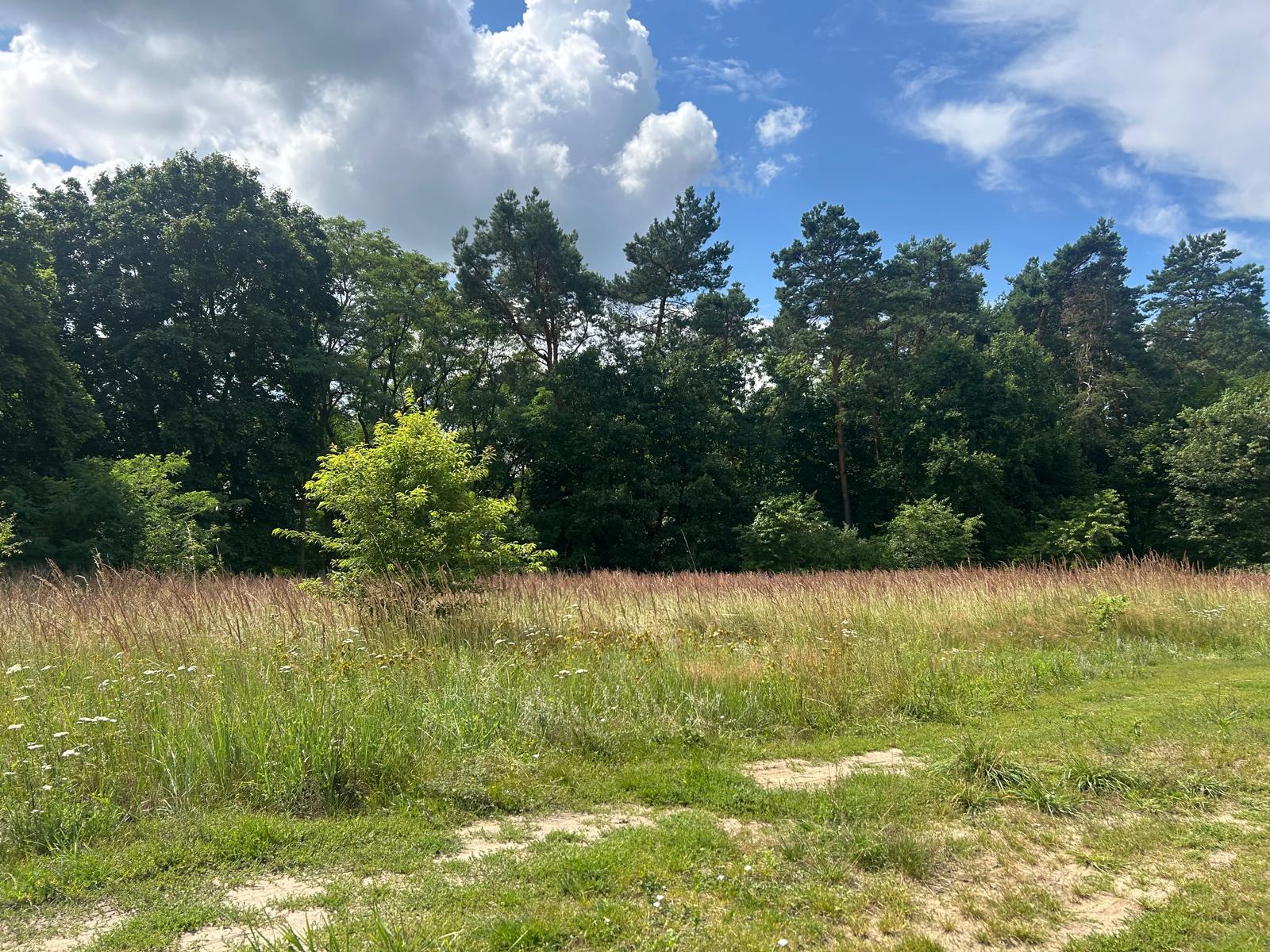 1753516942_cece785eb92cd643f5e788e5f37e3d933a76f56c