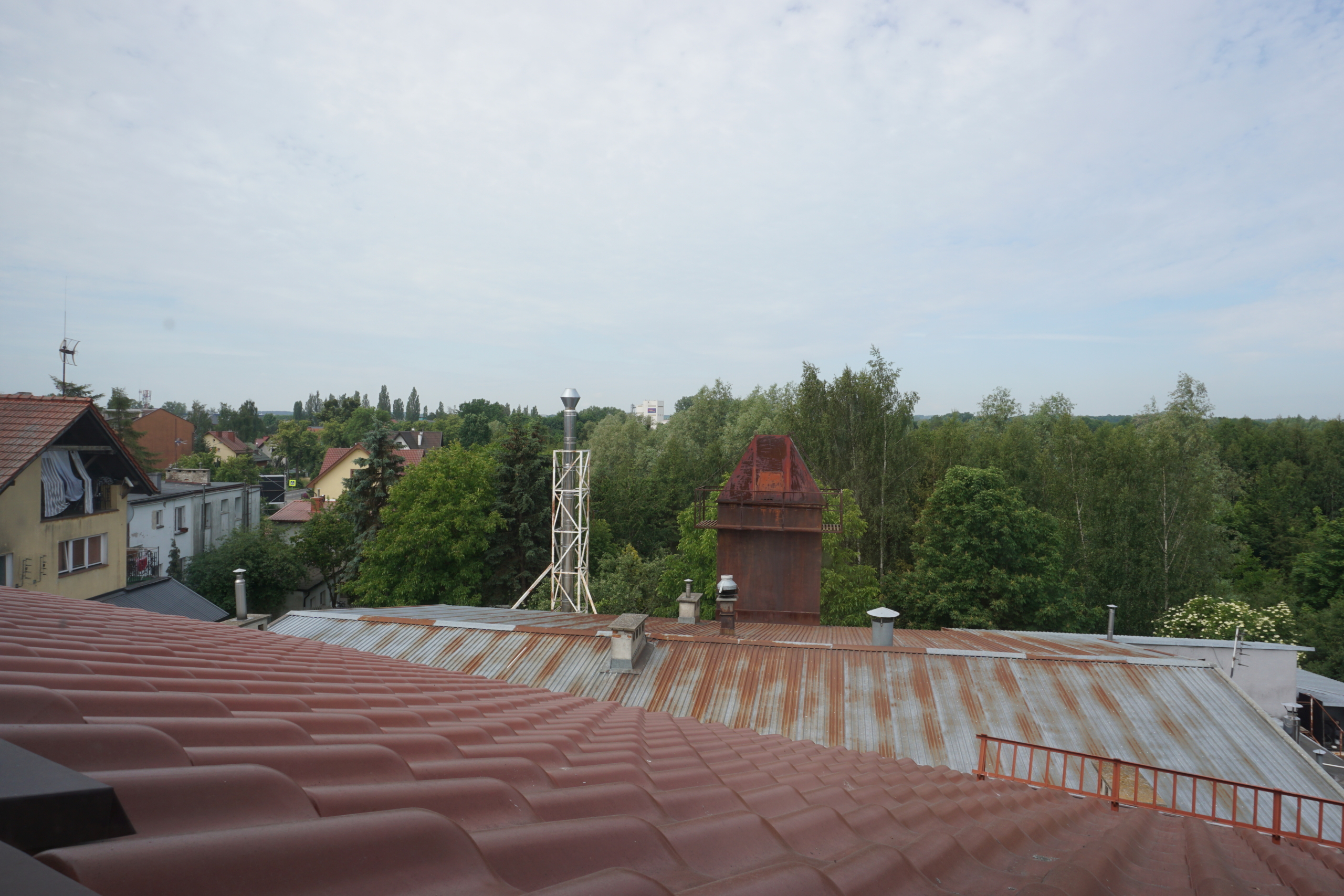 DSC00251
